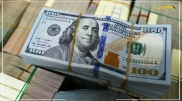 تطور تاريخي.. الاحتياطي النقدي يسجل أعلى مستوى له منذ سنوات ماذا يعني ذلك لتحديث سعر الدولار اليوم؟ 1